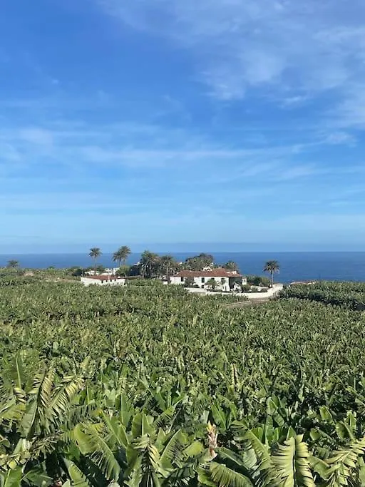 Apartment Eco Finca Vista Mar Y Teide Icod De Los Vinos